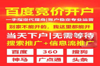 搜索引擎营销（SEM）成功运营的五大案例